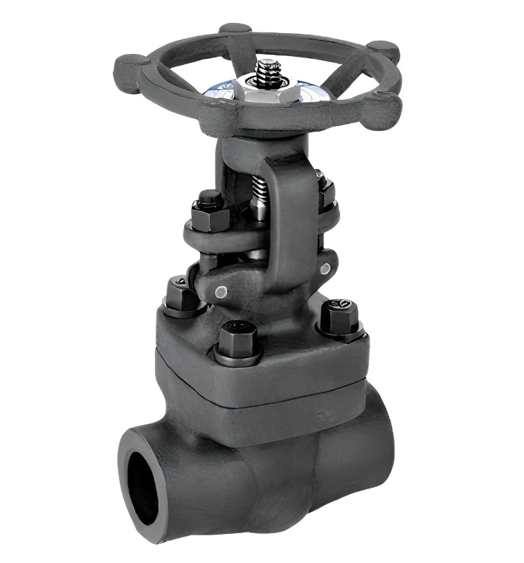 Imagem do WhatsApp de 2025-08-01 à(s) 11.01.49_ad860807